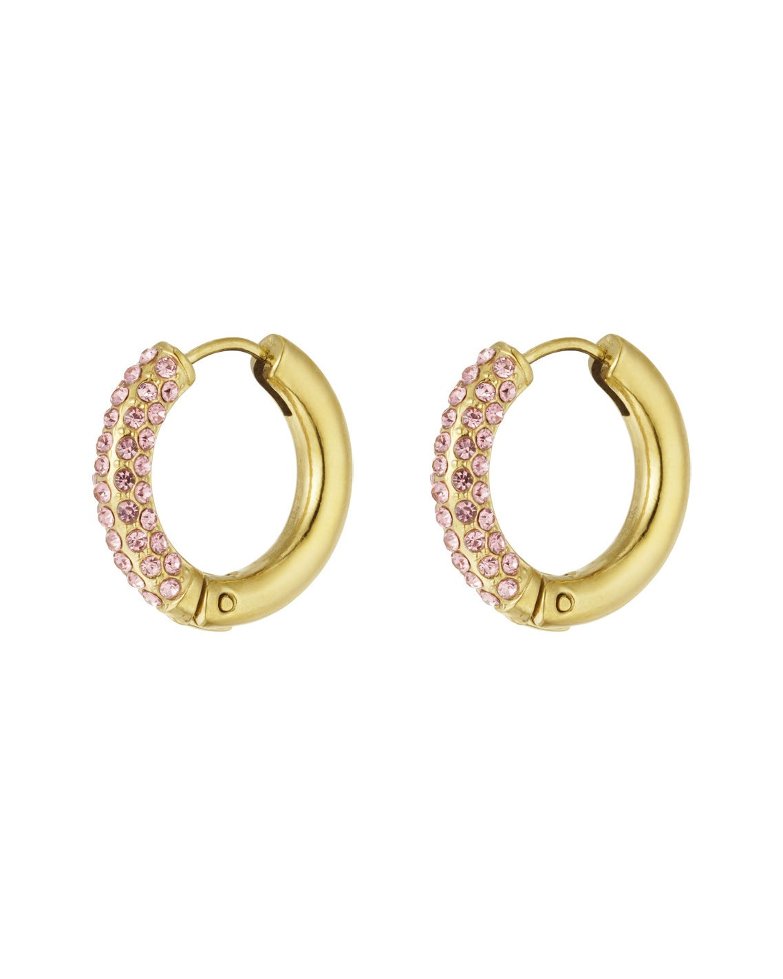Shiny Hoops Rose